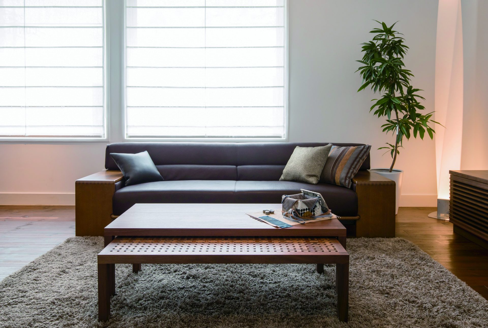 Our sofa beautifully restored and set with coffee tables on the carpet. The soft light sheds on them from the window.