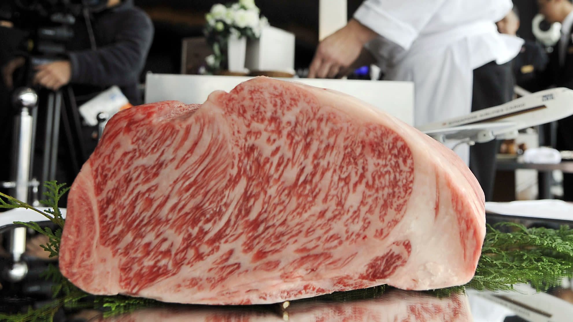 Perfect marbled wagyu beef. It's a sample for auction.