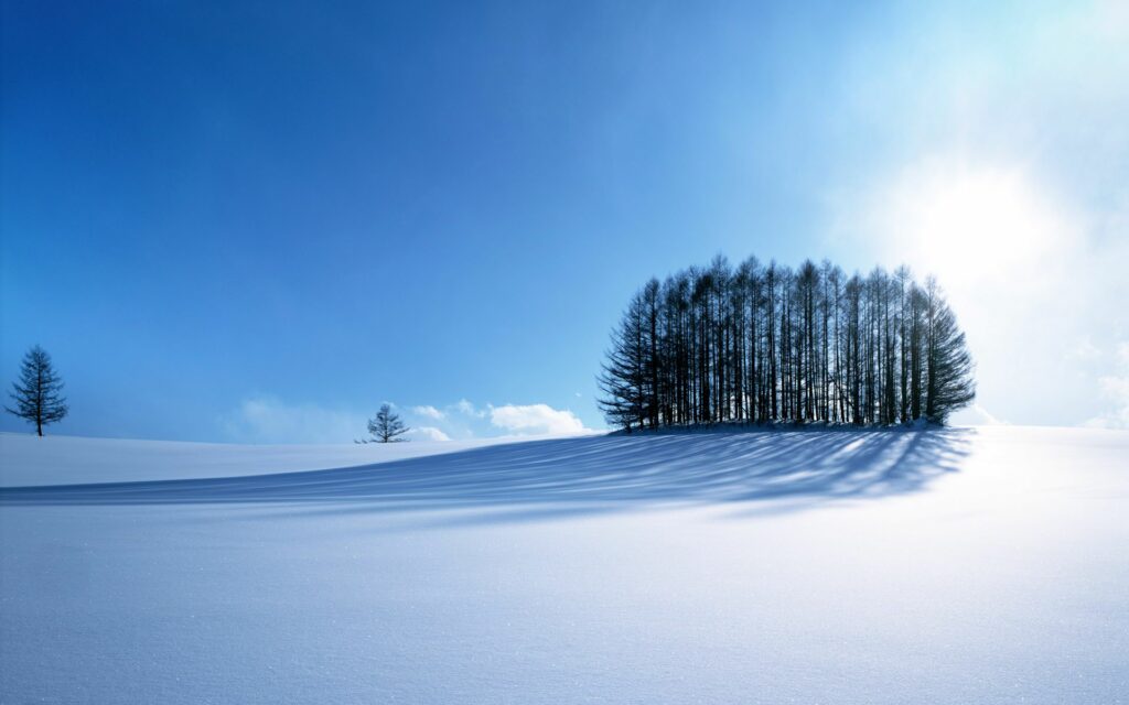 An image of beautiful scenery. It's a snow field in Hokkaido in the middle of winter.