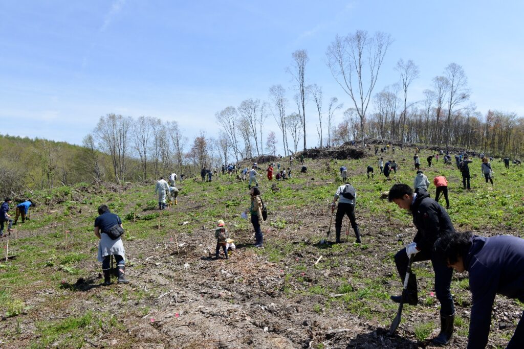 Many people are planting young trees in the mountain. It's an annual event of our company.