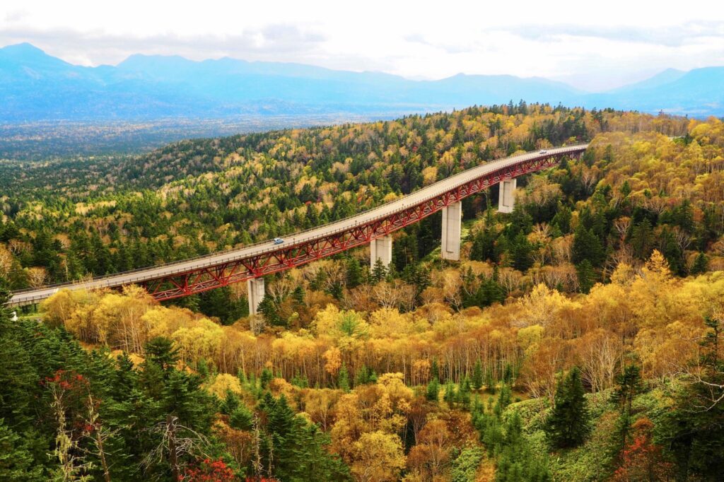 An overpass in the forest. It's autumn, and tree leaves are colored in yellow.