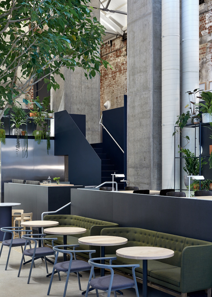 It's the inside of a cafe in Melbourne. Blue dining chairs, round tables, and green sofas make some sets.