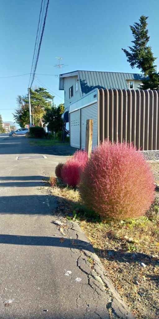 Just a common street in a residential area in Japan.