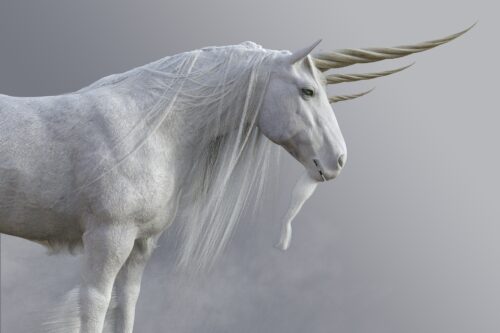 A unicorn, an imaginary creature like a horse with a horn on its head