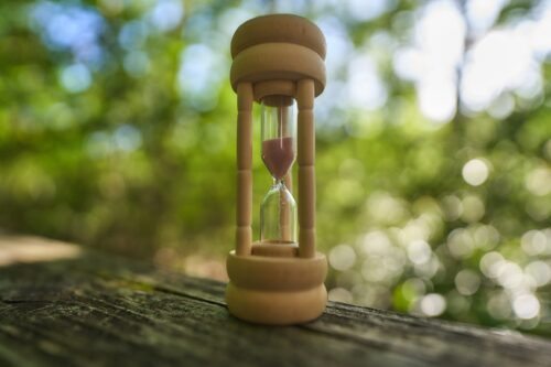 A hourglass placed on the tree trunk