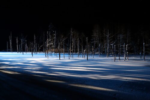 The blue pond in Biei town in winter at night