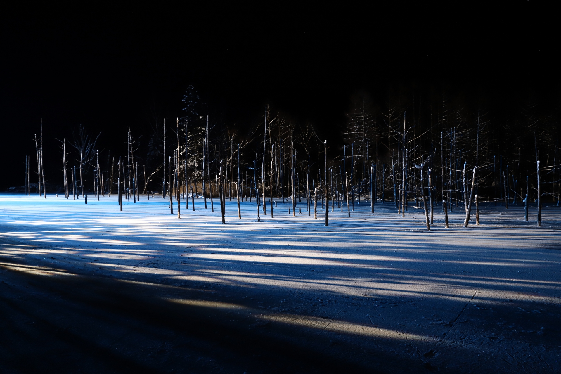 The blue pond in Biei town in winter at night