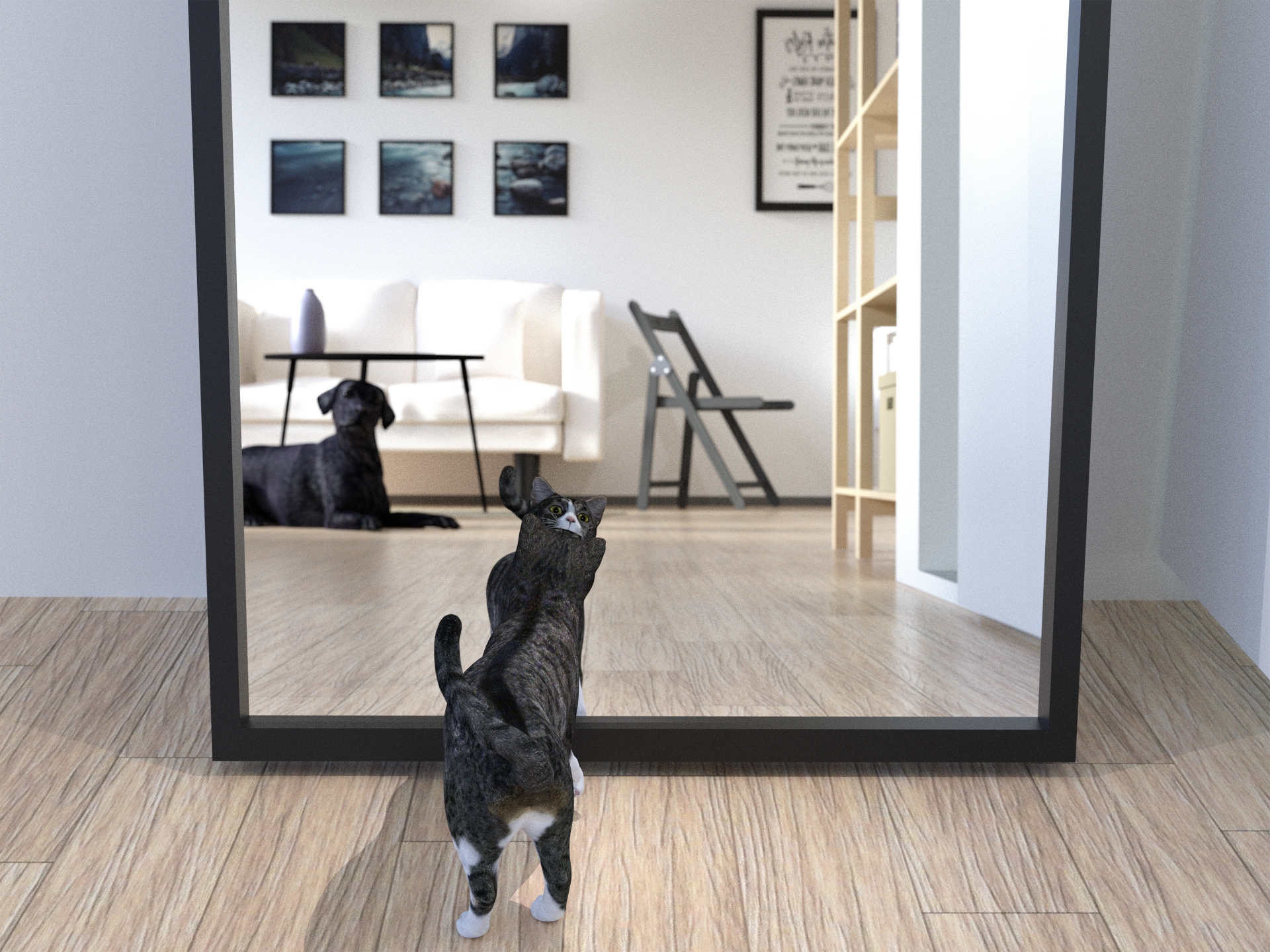 A cat watching into a mirror, with a dog in the mirror