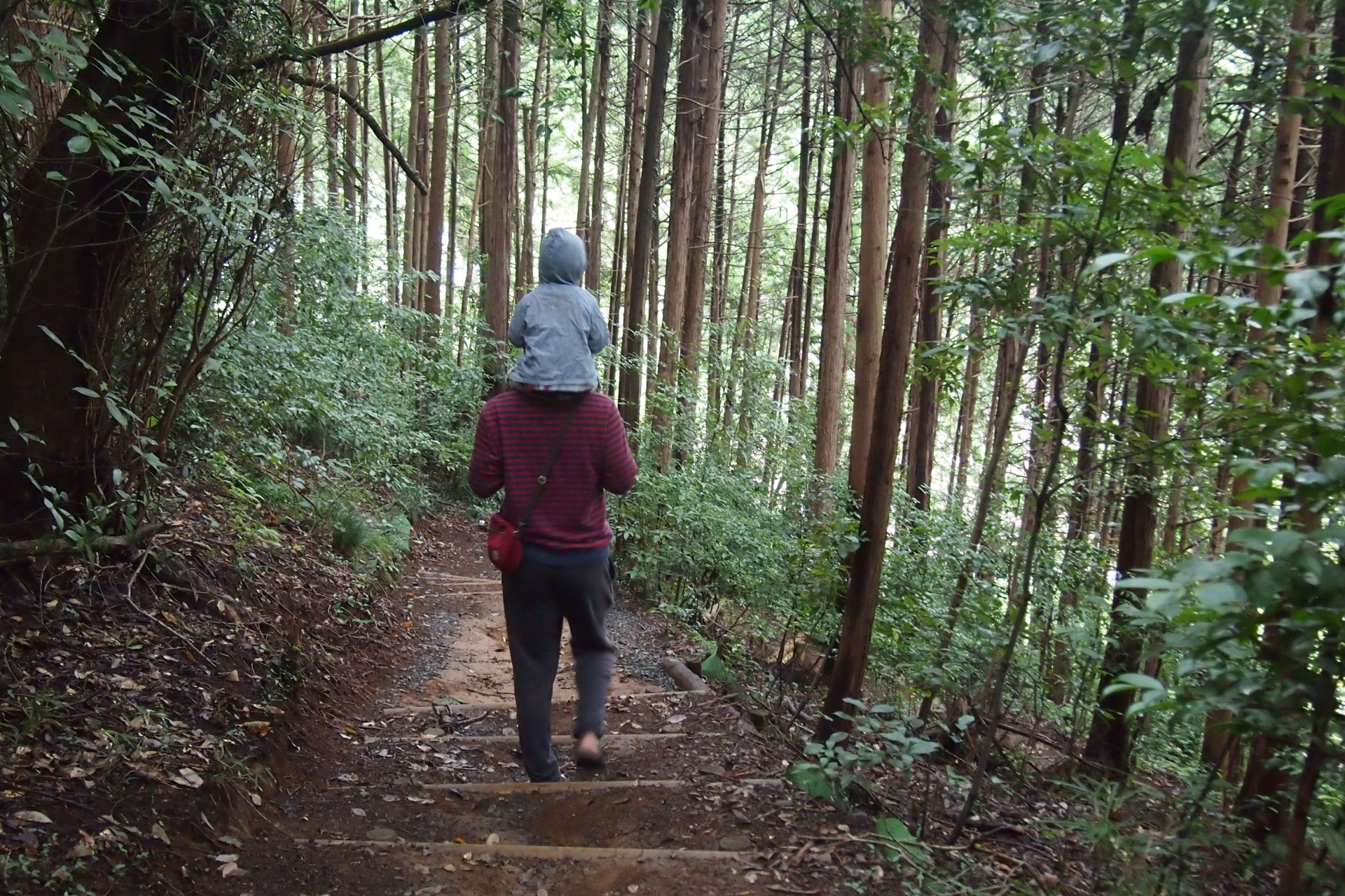 A guy walking in the forest with a kid on his shoulders