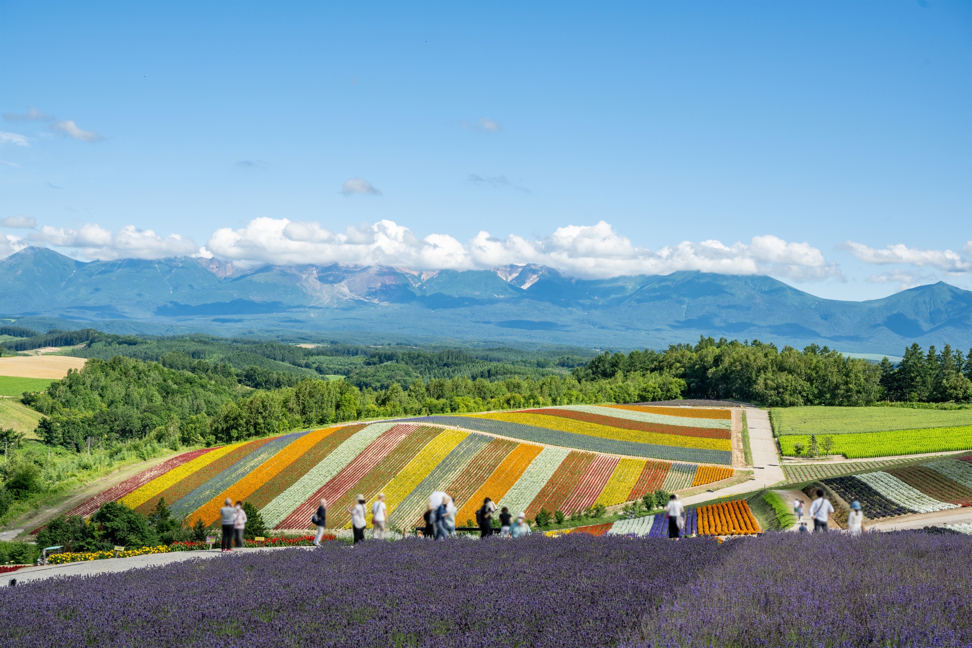 The mountains beyond colorful hills in Biei, Hokkaido