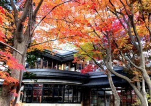 A traditional soba noodle restaurant surrounded by trees of which leaves are colored