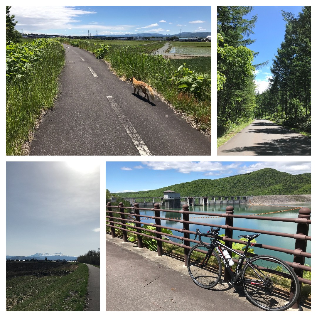 How about Cycling in Hokkaido?