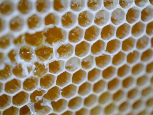 Honeycomb where hexagonal cells are aligned beautifully