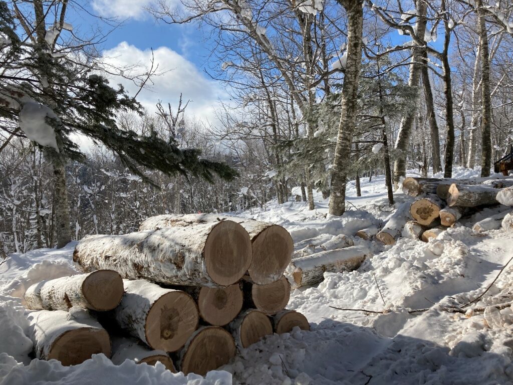 Wood logs are piled up in the snow mountain.