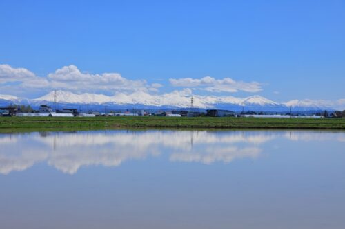 A rice paddy field of which water surface reflects the sky with some clouds.
